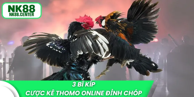 3 bí kíp cược kê Thomo online đỉnh chóp