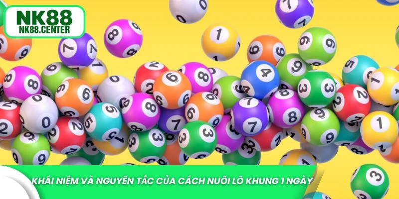 Cách nuôi lô khung 1 ngày chuẩn xác nhất hiện nay