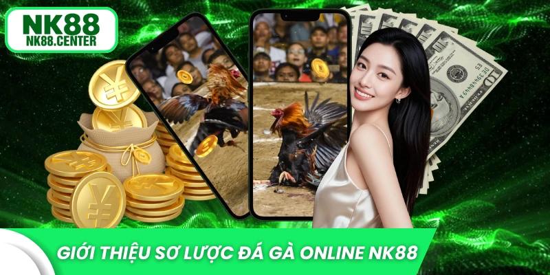 Giới thiệu sơ lược về đà gà online NK88