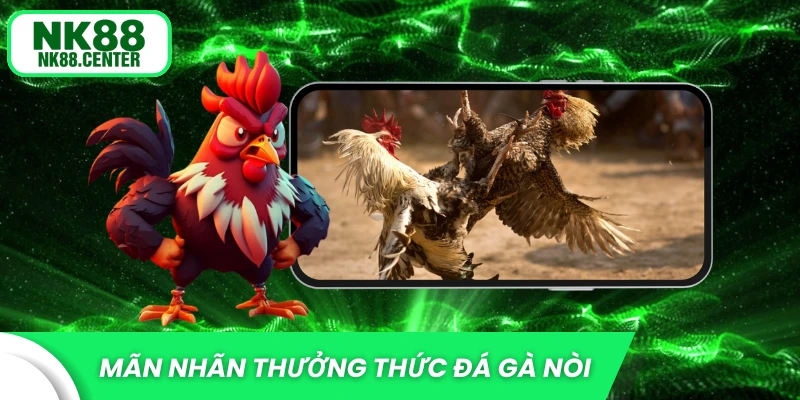 Mãn nhãn với những đòn đá gà nòi đẹp mắt